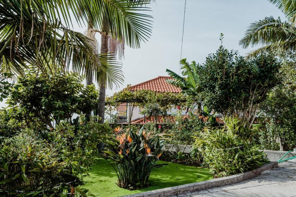 City View Gardens Фуншал Екстериор снимка